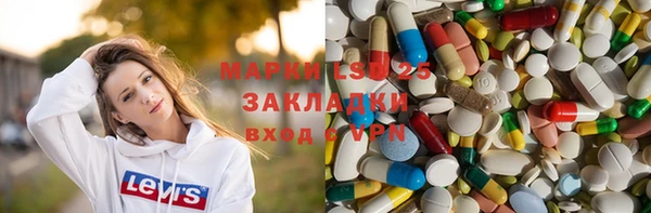 тгк Каменка