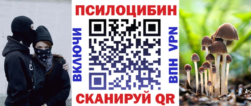 Псилоцибиновые грибы прущие грибы  kraken маркетплейс  Черемхово 